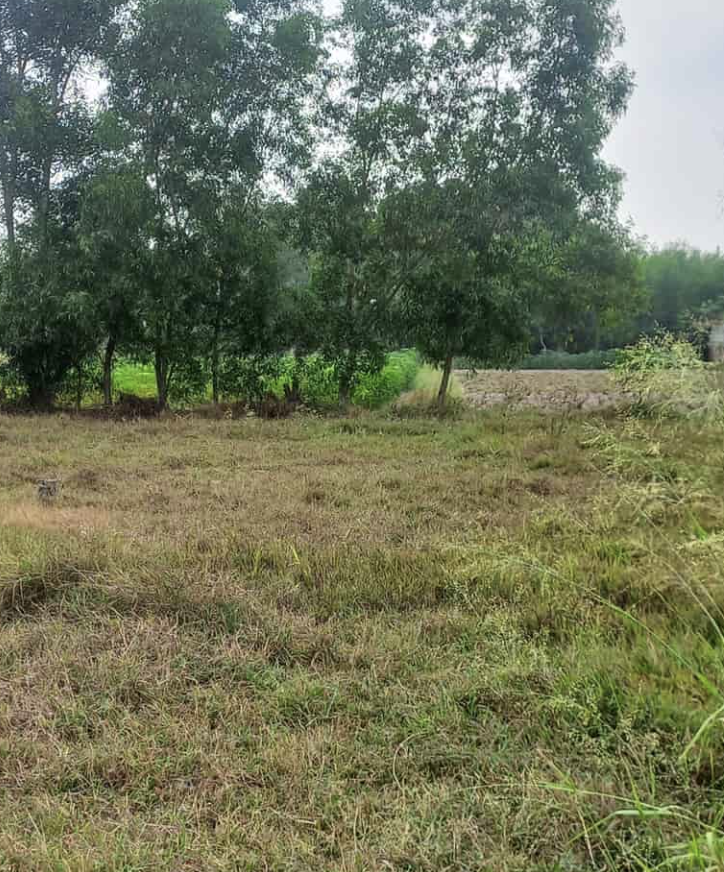 ĐẤT LÚA LONG TÂN 36M², MẶT ĐƯỜNG SWANBAY, CHỈ 130 TRIỆU, SỔ SẠCH